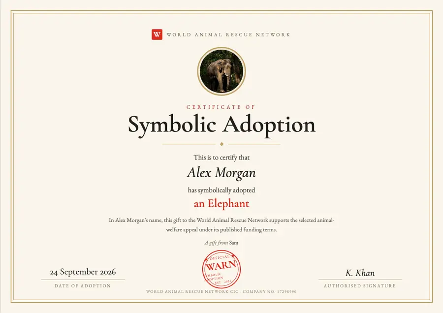 Sample elephant symbolic adoption certificate made out to Alex Morgan, dated 24 September 2026, marked as a gift from Sam